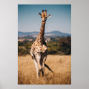 Recherche de vintage giraffe art Naturel