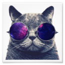 Search for vintage cat pictures posters Cute