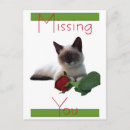 Recherche de chaton rose cartes postales Chatons