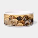Search for beach dog bowls Dogs