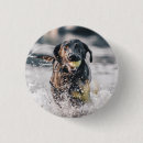 Search for water animals buttons Dog