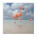 Recherche de aruba carreaux Plage
