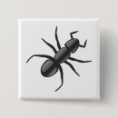 Search for ant buttons Animal