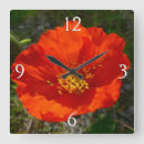 Recherche de fleurs colorées horloges Pour tous