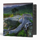 Search for jaynes gallery binders Scenic