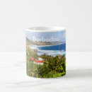 Recherche de paumes tasses Des caraïbes
