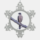 Search for hawk ornaments Birds of prey
