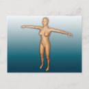 Recherche de étendu cartes postales Illustration