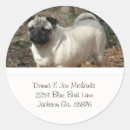 Recherche de chien chinois pour chien autocollants Animaux