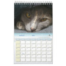 Search for cat calendars Photos