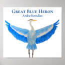 Search for wetland posters Herons