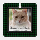 Recherche de buffalo check Chat