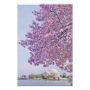 Recherche de etats unis posters Scenics
