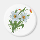 Recherche de narcisse magnets Blanc