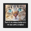Recherche de animal drôle magnets Amoureux des chats