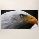 Recherche de nous aigle photographie Noir