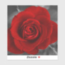 Search for romantic kiss stickers Beautiful