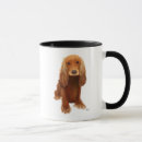 Recherche de chien idiot tasses Antiquité