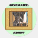 Search for adopt stickers Rescue