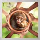 Recherche de amour de singe Singes mignons