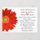 Search for orange gerbera daisy wedding invitations Floral