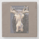 Search for new hampshire coasters Collection
