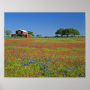 Search for flowerbed posters Tree