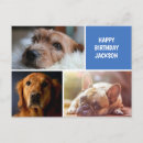 Search for terrier photo cards Collage