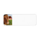 Search for ranching return address labels Cow