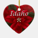Search for idaho state ornaments America