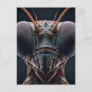 Recherche de macro cartes postales Gros plan