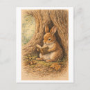 Search for bunny drawing postcards Pencil