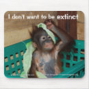 Search for extinction electronics Conservation