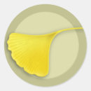 Search for gingko leaves stickers Ginkgo