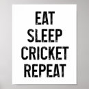 Search for vintage cricket posters Wicket