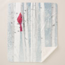 Search for birch trees blankets Cardinal