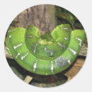 Recherche de serpent autocollants Vert
