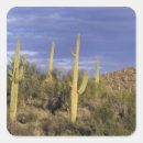 Search for baja mexico stickers Ie