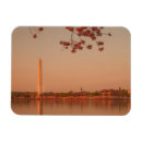 Recherche de sakura magnets Nature