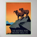 Recherche de chèvre de montagne posters Animaux