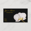 Recherche de orchidées blanches cartes visite Fleur