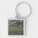 Search for teamwork keychains Togetherness