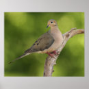 Recherche de profondeurs posters Environnement