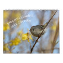 Search for chipmunk calendars Birds