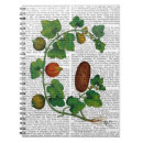 Search for veggie notebooks Squash