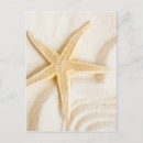 Recherche de naturelle cartes postales Soleil