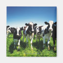 Search for hokkaido magnets Animal