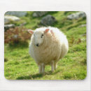 Search for sheep mousepads Green