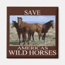 Search for save environment magnets Protect