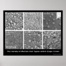 Search for soiled posters Space